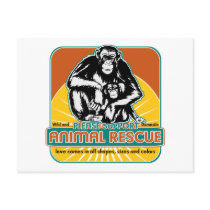 Animal Rescue Chimpanzee