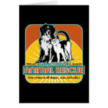 Animal Rescue Dog and Cat