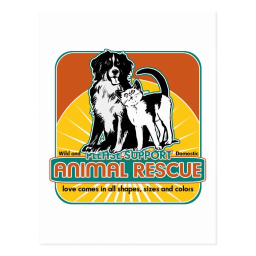 Animal Rescue Dog and Cat Post Cards