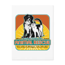 Animal Rescue Dog and Cat