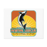 Animal Rescue Dolphin
