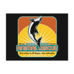 Animal Rescue Dolphin