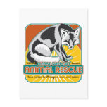 Animal Rescue Fox