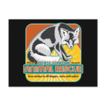Animal Rescue Fox