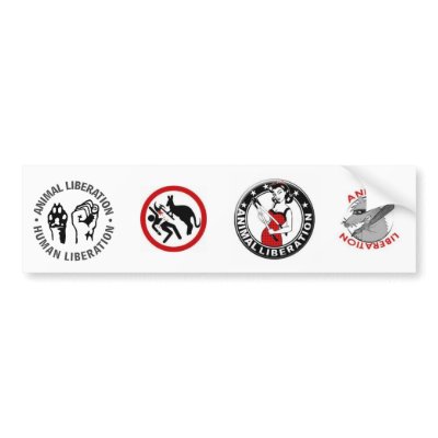Animal Rights (4 in 1) Bumper Sticker by TheAnimalLiberator