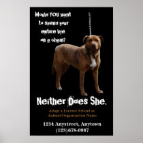 Animal Rights  Adoption and Rescue