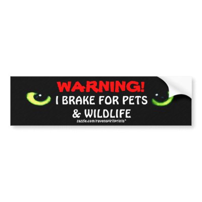ANIMAL SAFETY Bumper Sticker Collection by RavenSpiritPrints