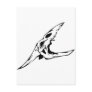 Animal Skull Postcards