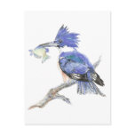 Animal Totem, Spiritual, Inspiration Encouragement Postcards