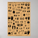 Animal Tracks Poster posters