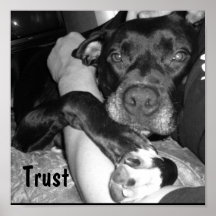 Animal Trust Posters