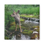 Animal Wild 1 Magnet