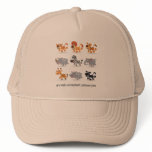 Animals accepted mesh hats