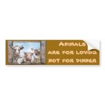 Animals are for loving