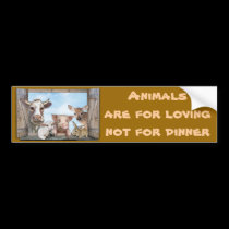 Animals are for loving bumper stickers