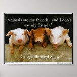 animals are my friends posters