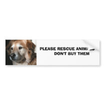 Animals       ... bumper stickers