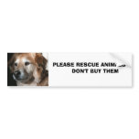 Animals       ... bumper stickers