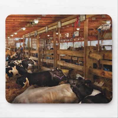 Animals - Cow - Checking out the Ladies Mouse Pads by suburbanscenes