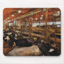 Animals - Cow - Checking out the Ladies mousepads