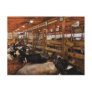 Animals - Cow - Checking out the Ladies Post Card