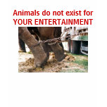 Animals do not exist for YOUR ENTERTAINMENT t-shirts