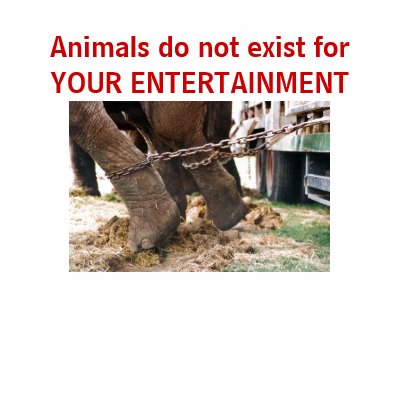 Animals do not exist for YOUR ENTERTAINMENT Tshirts by elpalmisano