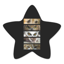 Animals Eyes Star Sticker