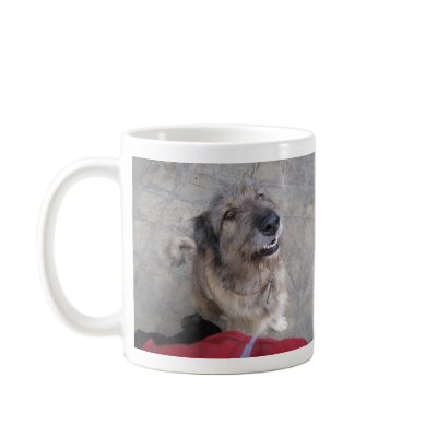 Animals Have Rights! Coffee Mug by dina1980