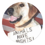 Animals Have Rights Round Sticker