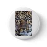Animals in the Wild Button