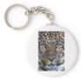 Animals in the Wild Key Chains