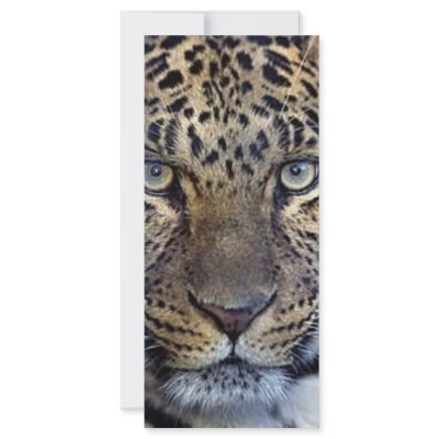 Animals in the Wild Customized Rack Card by jeridenn