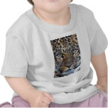 Animals in the Wild T Shirts