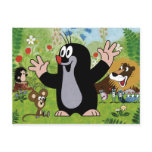 ANIMALS POSTCARD