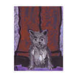 (Animals small dog big feet) Postcard
