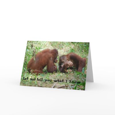 Animals Telling Age Secrets Birthday Card by Rebecca_Reeder