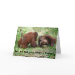 Animals Telling Age Secrets Birthday cards