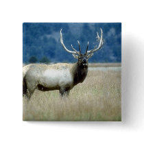 Animals Wild 1 Pinback Button