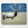 Animals Wild 1 Mouse Pads
