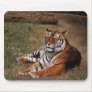Animals Wild 1 Mouse Mat
