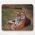 Animals Wild 1 mousepads