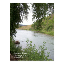 Animas River postcards