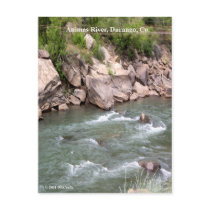 Animas River Rapids Postcards
