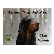 Animo Non Astutia, Gordon Setter Painting Postcard