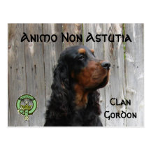 Animo Non Astutia, Gordon Setter Postcard