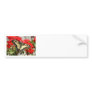 Anise Swallowtail Bumper Sticker