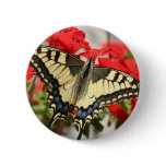 Anise Swallowtail Button