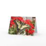 Anise Swallowtail Card