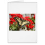 Anise Swallowtail Card